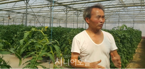 '토마토 예찬론자' 이온규 대표. 경기도 고양 통일로 인근에서 첨단 토마토 농장을 운영중이다.