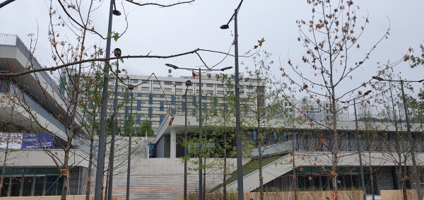한국 바둑의 산실 역할을 해 온 명지대 바둑학과가 폐과 위기에 놓였다. 사진은 명지대 캠퍼스.