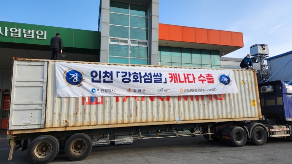 캐나다로 수출되는 강화쌀.