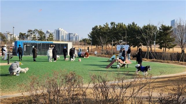 송도 달빛공원의 반려견 놀이터.