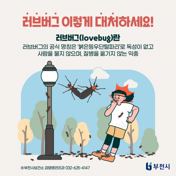 러브버그 대처법 안내 포스터,